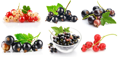Wall Mural - Collage mix set of currant berries with green leaf isolated on white background.