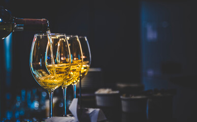 bartender pouring white wine into a glass in cafe or bar