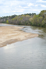 Wall Mural - The Homochitto River flowing peacefully through the forest in Franklin County, Mississippi