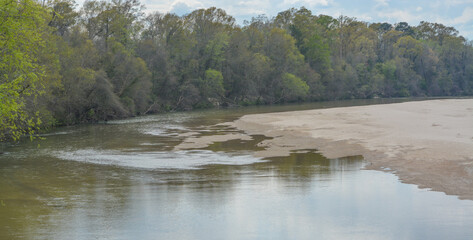Wall Mural - The Homochitto River flowing peacefully through the forest in Franklin County, Mississippi