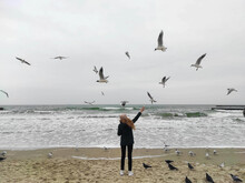 A Girl With Long Hair Standing On The Beach And Feeding Seagulls With Bread With A Beautiful Sea Background. Girl Feeds Seagulls And Pigeons At The Seashore. 