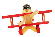Cute Chick Aviator Is Flying By Plane Funny Conceptual Photo Isolated On White Background