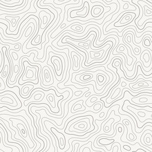 Topographic Map Seamless Pattern, Topography Line Map. Vector Stock Illustration