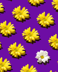 Flower pattern on a purple background