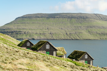Wall Mural - picturesque view of tradicional faroese grass-covered houses in the village bour during autumn. vaga