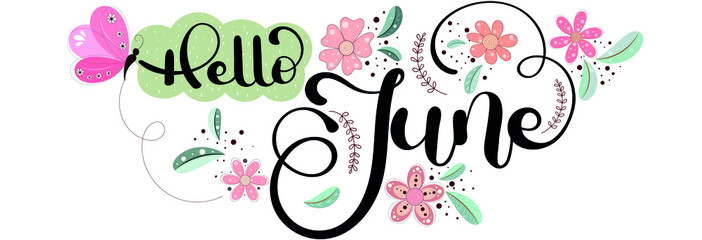 Wall Mural - Hello June.  JUNE month vector with flowers, butterfly and leaves. Decoration floral. Illustration month June