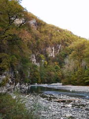 Wall Mural - autumn mountain landscape in sochi