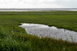 Entwässerungsgraben oder kleiner Teich in der Marsch an der Nordsee