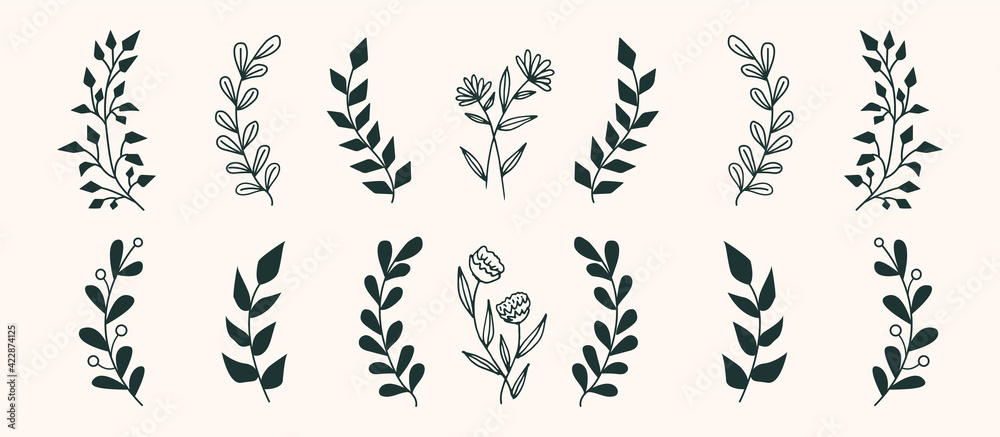 Set of vector vintage floral elements. Cute set of doodle frames and borders. Elements flowers, branches, swashes and flourishes - obrazy, fototapety, plakaty 