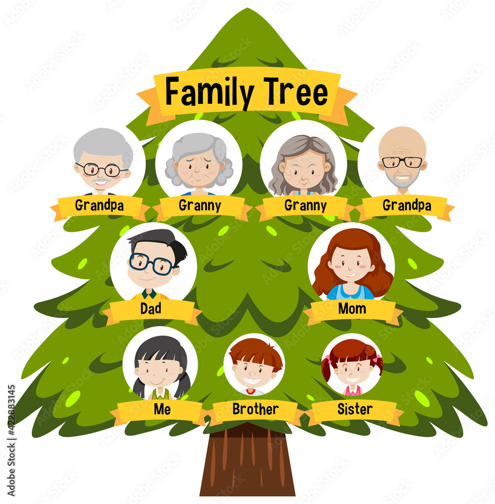 Diagram showing three generation family tree Stock Vector | Adobe Stock