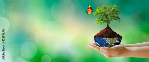 Growing tree on half globe in hand with butterfly. Green background with bokeh. World mental health and World earth day. Elements furnished by NASA. Saving environment and World Ecology Concept.
