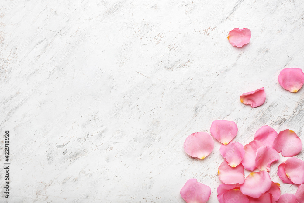 Beautiful pink rose petals on light background