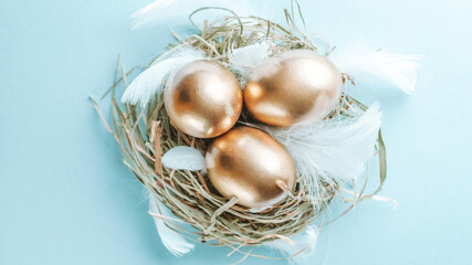 Wall Mural - Basket easter decoration: Golden eggs in basket with white feathers on pastel blue background. Congratulatory easter design. Top view.