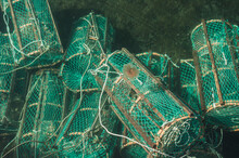 Green Lobster Pots In Water