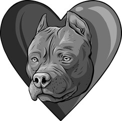 Poster - design of pitbull head dog in heart vector illustration