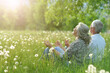 © aletia2011 - happy senior coupleon green meadow with dandelions