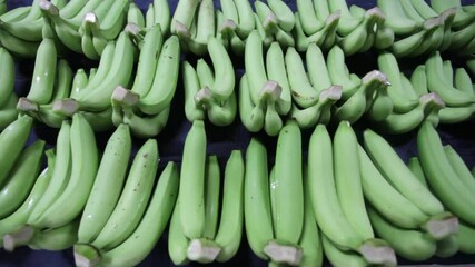 Wall Mural - Bunches of fresh green thailand banana