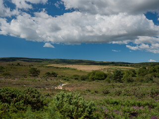 Wall Mural - Isle of Purbeck