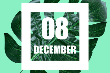 december 8th. Day 8 of month,Date text in white frame against tropical monstera leaf on green background winter month, day of the year concept