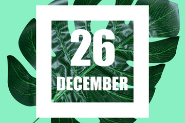 december 26th. Day 26 of month,Date text in white frame against tropical monstera leaf on green background winter month, day of the year concept