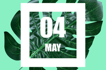 may 4th. Day 4 of month,Date text in white frame against tropical monstera leaf on green background spring month, day of the year concept