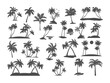 © Orange Brush - Palm tree silhouette set. Various black tropical trees on a white background. Vector illustration. For design of t-shirts, cards, invitations in retro style