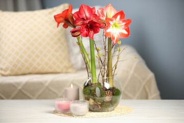 Canvas Print - Beautiful red amaryllis flowers on white table indoors