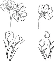 Wall Mural - vector outline set of flowers, tulips, orchid and daisy