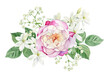 Watercolor bouquet of rose, jasmine, hypsophila flowers. Floral arrangement for cards.