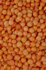 Poster - red lentils isolated on white background