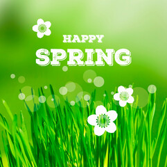 Happy Spring green greeting card with fresh spring grass stock images. Spring green floral background with bright green grass. Happy Spring inscription images