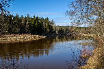 scenic spring river view in forest with foliage tree leaf and low water with rocks and sand in stream.