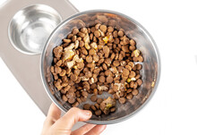 Dog Food In Bowl For Large Adult Dog. Kibbles Mixed With Wet Food For A Picky Eater. A Hand Is Holding Pet Dish On Top Of A Elevated Dog Feeding Station. Isolated On White. Selective Focus.