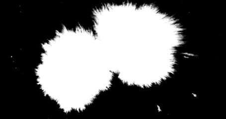 Wall Mural - abstract paint brush stroke shape white ink splattering flowing and washing on chroma key green scre