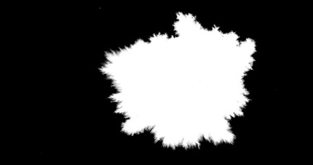 Wall Mural - abstract paint brush stroke shape white ink splattering flowing and washing on chroma key green scre