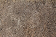 texture of  detailed view on sandy ground surfaces