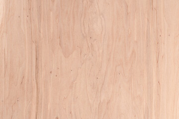 Wall Mural - Wood texture. Wood background with natural pattern for design and decoration.