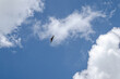 Soaring eagle background blue sky with clouds
