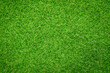 © surasak - Green grass texture background Top view of bright grass garden. Idea concept used for making green backdrop.