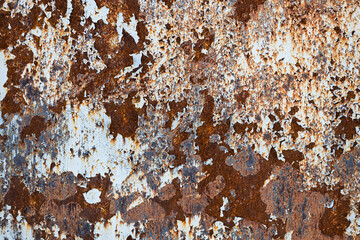 Poster - iron wall with rust. red textured surface.