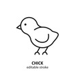 Chick vector flat line icon. Editable stroke.