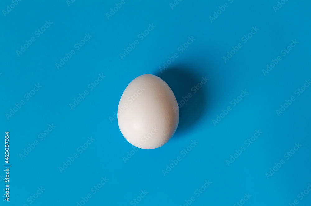 Easter concept. White egg on a blue background in pastel colors. The chicken laid the egg. Natural organic homemade products. Copy space for text - obrazy, fototapety, plakaty 