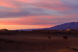 Fototapeta  - sunrise in the desert