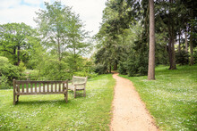 Deserted Footpath Running  Through Flowery Meadows And Woods In A Park In Spring. Two Empty Weathered Wooden Benches Facing A Pond Are In Foreground.