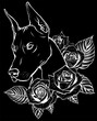white silhouette of Dobermann dog face with roses