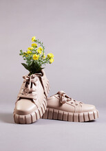 Sneakers And Yellow Flowers Inside. Fashion Shoes Still Life