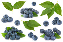 Blueberry Collection On White Background