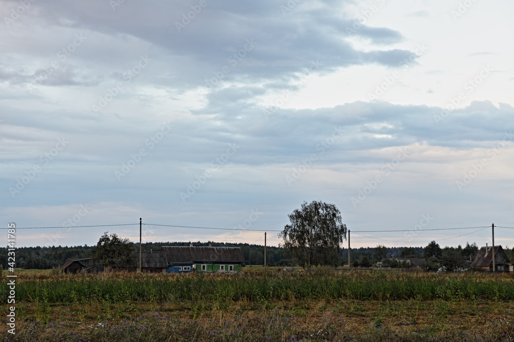 European rural landscape panorama, field, cottage houses and birch tree ...