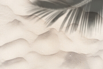 Copy space of shadow palm leaf on sand beach texture background. Summer vacation and holiday relax concept.