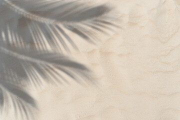 Wall Mural - copy space of shadow palm leaf on sand beach texture background. summer vacation and holiday relax c